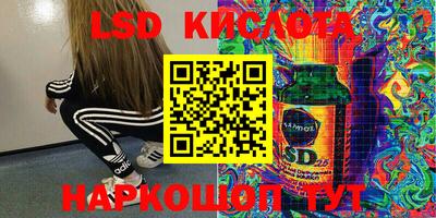 индика Моздок