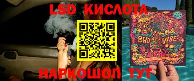 прущие грибы Малгобек