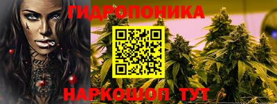 прущие грибы Малгобек