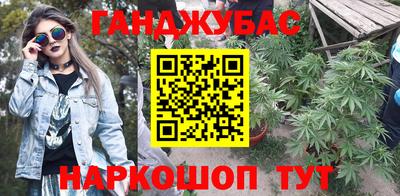 стаф Можга