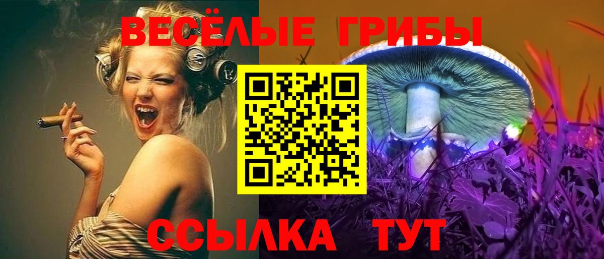 Псилоцибиновые грибы Psilocybe Карасук